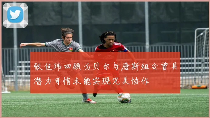 张佳玮回顾戈贝尔与唐斯组合曾具潜力可惜未能实现完美协作